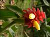 Jardin Botanico (12)
